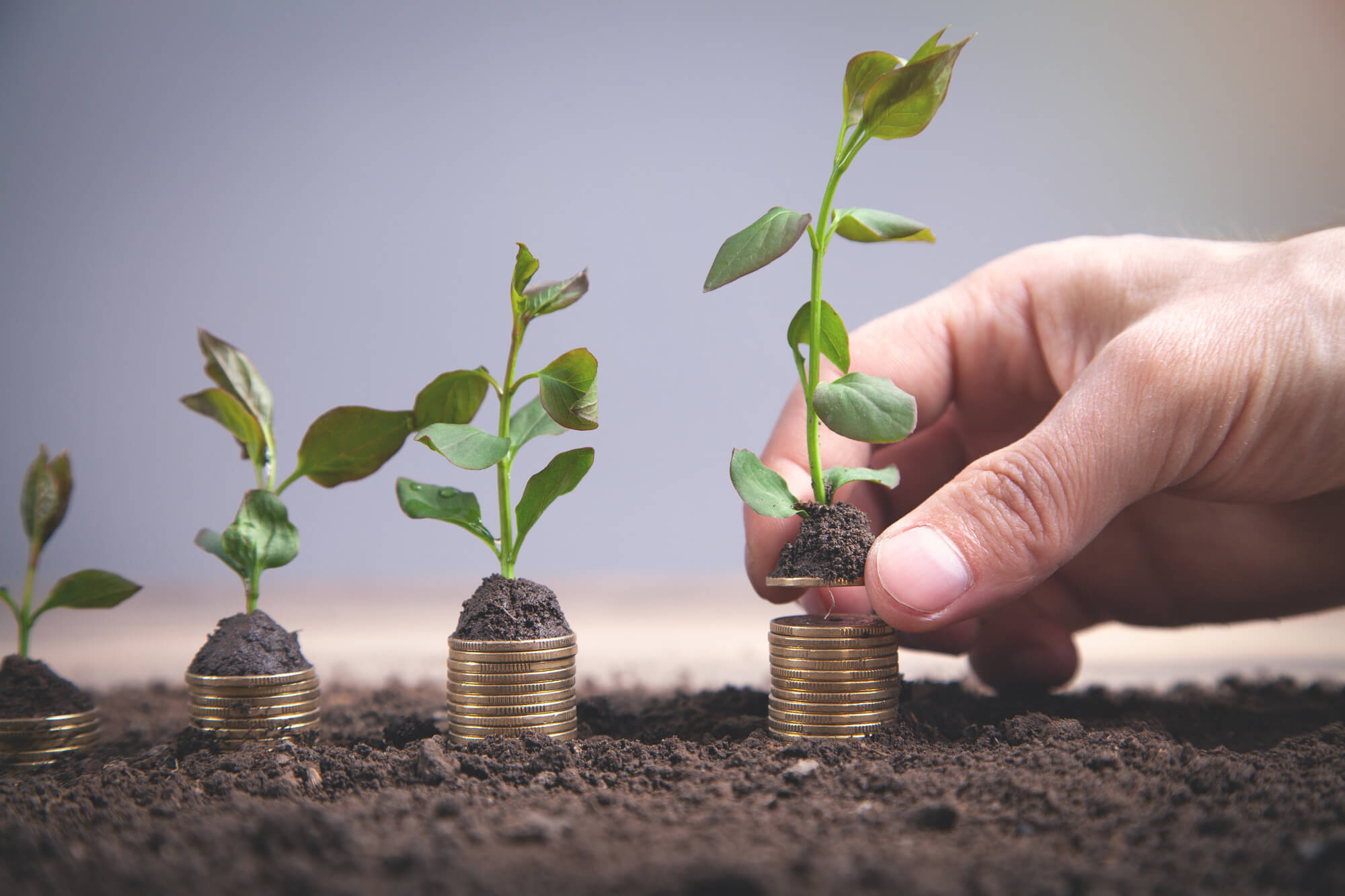 smsf set up & advisory